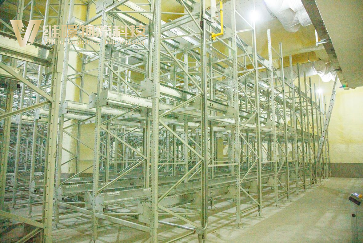 冷鏈倉儲升級必看！穿梭車貨架讓低溫存儲更高效